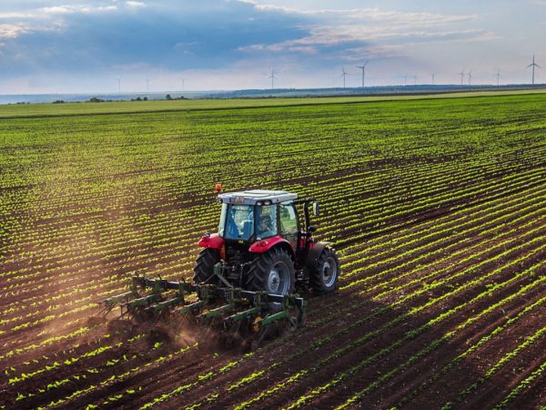 Producción Agrícola