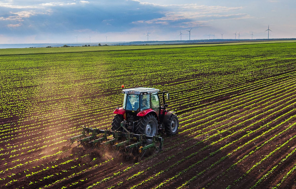 Producción Agrícola